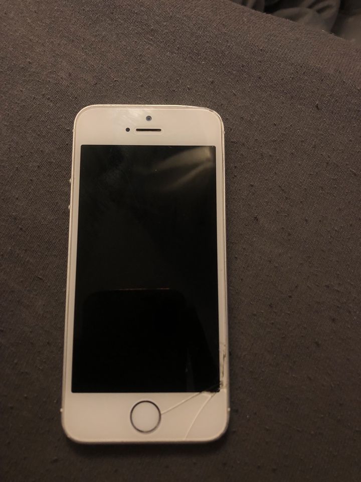 iPhone 5s Silber in Oerlinghausen