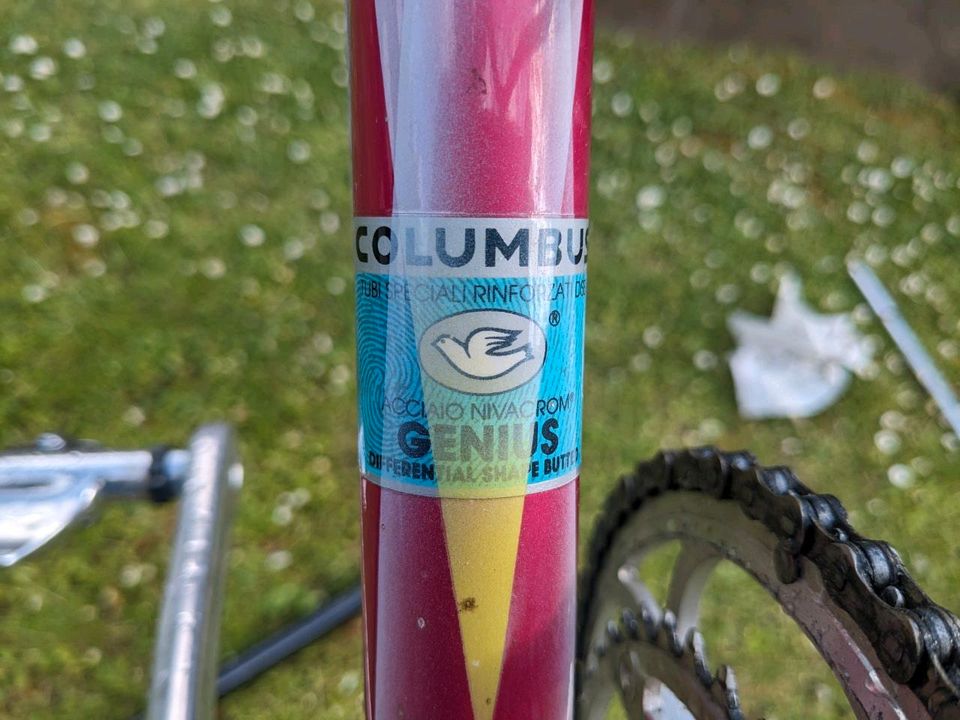 Fausto Coppi Rennrad mit top Komponenten in Worms