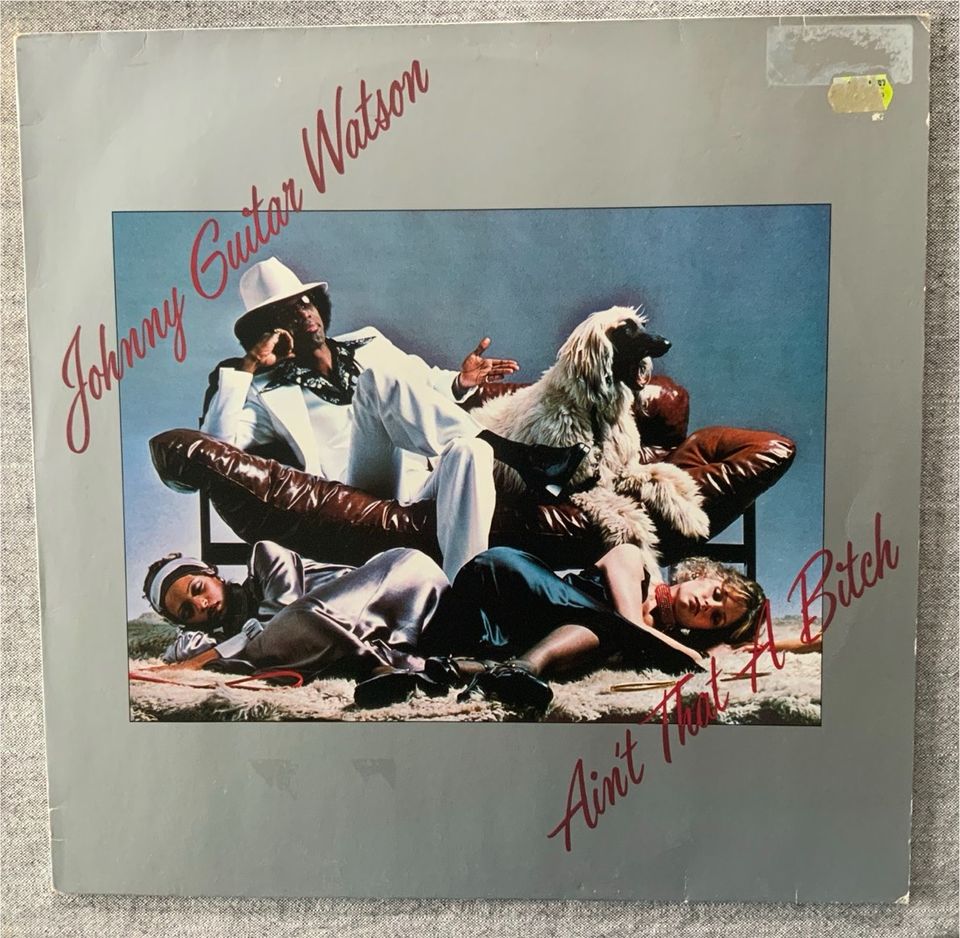 Johnny Guitar Watson „Ain‘t That A Bitch LP in Husum