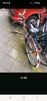 Holland Fahrrad zu verkaufen Düsseldorf - Pempelfort Vorschau
