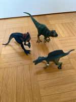 Schleich Dinos Nordrhein-Westfalen - Ascheberg Vorschau