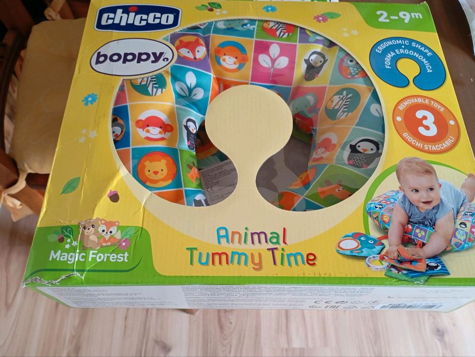 Chicco Animal Tummy Time in Grevenbroich