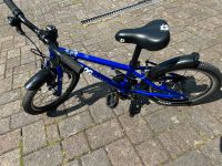 frog bike 44 dunkelblau - tolles 16“ kinderfahrrad - topzustand Rheinland-Pfalz - Steinfeld Vorschau