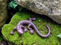 Deko Gartenfigur "Gecko/Eidechse" Gusseisen Teichfigur Salamander Nordrhein-Westfalen - Wesel Vorschau