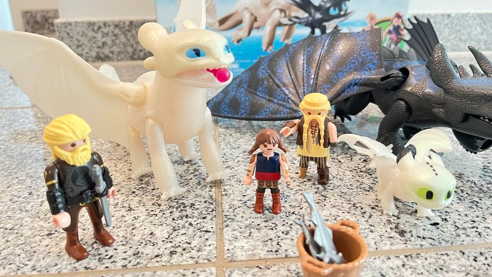 Playmobil Dragons Drachen Ohnezahn und Tagschattenn in Krefeld