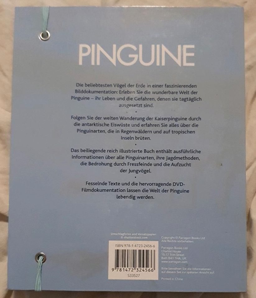 Pinguine, Lebensraum, Nahrung, Verhalten in Lübeck