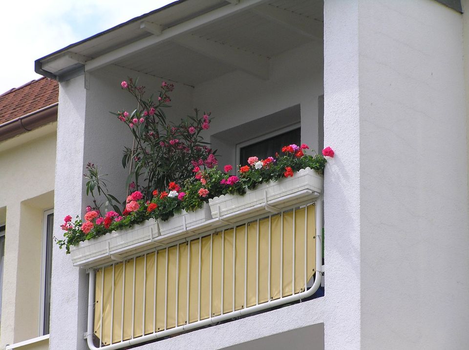 Schöne 3 Zimmerwohnung in Teutschenthal - Bhf zu vermieten in Teutschenthal