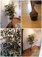 Künstlicher Baum Ficus Benjamini, Kunstpflanze Hessen - Kelkheim Vorschau