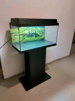 Aquarium 60x30x30 und Untergestell Niedersachsen - Ankum Vorschau