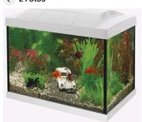 Superfish Aquarium Start 20 weiß Goldfish Kit LED komplett alles. Nordrhein-Westfalen - Neuss Vorschau