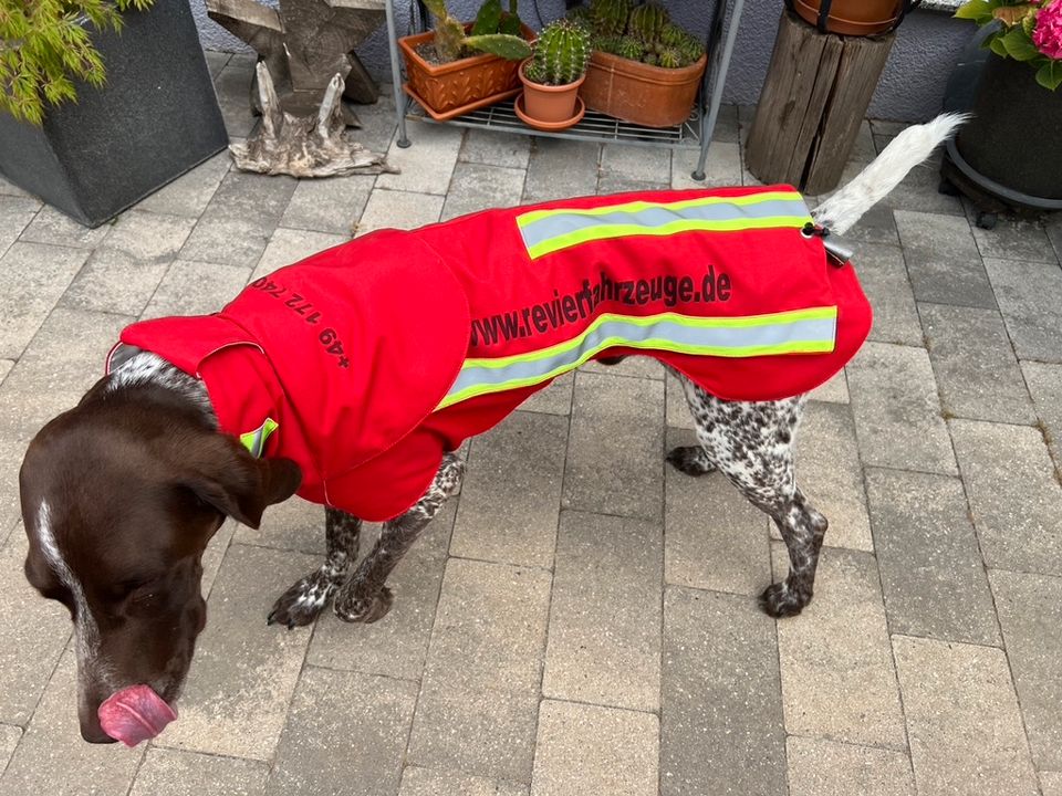 Jagd Jagdzubehör Jagdhund Jagdhundzubehör Garmin Dogtra Pulsar Puma Grube Gehetec Schmidt Hundebox Hundeschutzweste Hawe in Heilbronn