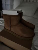 Ugg Boots Mini chestnut Größe 40 Köln - Porz Vorschau