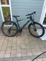 Bulls Mountainbike, Wildtail Street 26 Zoll Nordrhein-Westfalen - Bönen Vorschau