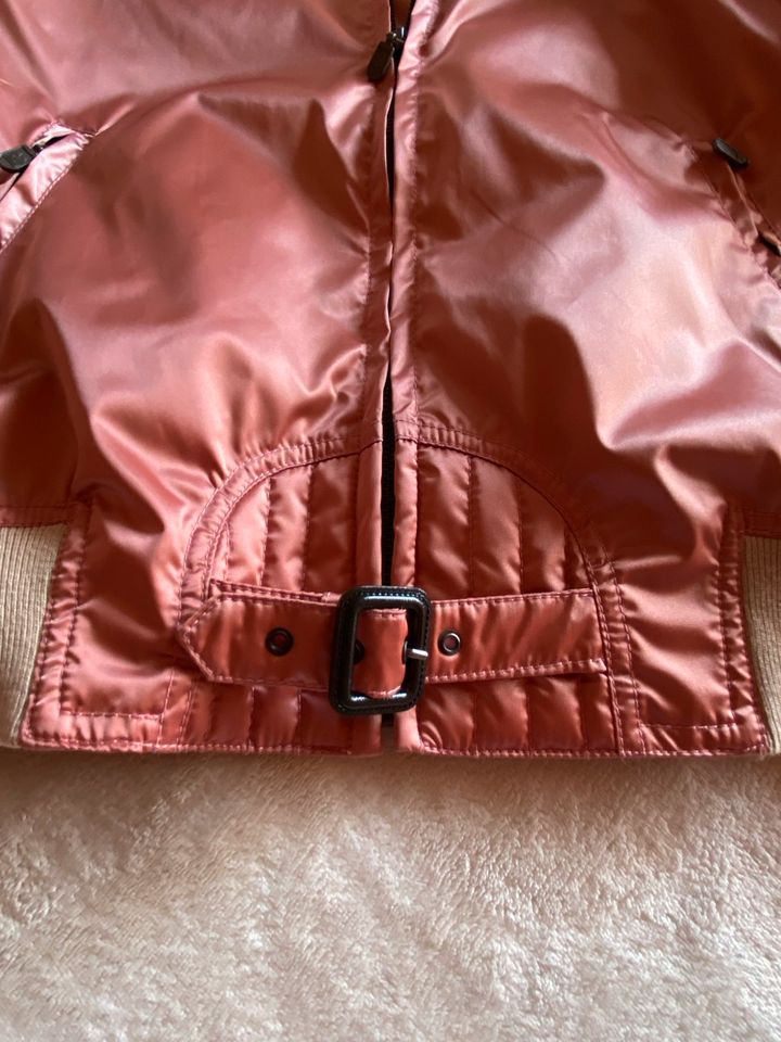 Jacke Belstaff , Große IT 42 ( DE 36), in Bad Pyrmont