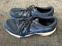 Asics Turnschuhe blau Gel-Flare 44,5/UK 9,5/US 10,5 Schleswig-Holstein - Flensburg Vorschau