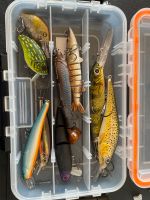 Hardbait Box zum Hechtangeln - Wobbler - Swimbaits - Crankbaits Stuttgart - Stuttgart-Ost Vorschau