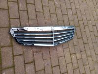 Mercedes W204 kühlergrill A2048801282 Bielefeld - Joellenbeck Vorschau