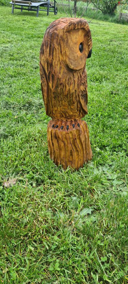 Kettensägenkunst,Holz Skulptur Carving Eule in Bad Lausick