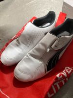 Puma Sneaker weiß Rheinland-Pfalz - Guntersblum Vorschau