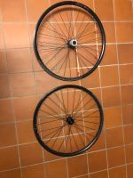 Alexrims Race 24 Disc Carbon Laufräder 28 Zoll Beuel - Holzlar Vorschau