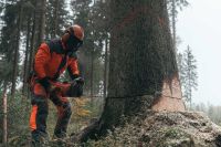 Baumfällung; Problembaumfällung, Seilklettertechnik, Bühne Saarland - St. Wendel Vorschau