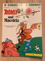 Asterix und Maestria - Band XXIX Bayern - Oberviechtach Vorschau