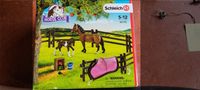 Schleich 21049 - Pferdefütterung Trakehner, OVP Baden-Württemberg - Horgenzell Vorschau