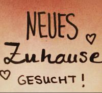 Familie sucht 4ZKB oder Haus zur Miete Bayern - Augsburg Vorschau