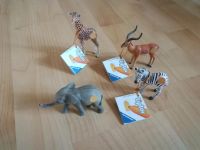 4 Tiptoi Spielfiguren Elefant/Giraffe/Zebra/Antilope (neuwertig) Niedersachsen - Stadthagen Vorschau