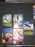 Pferde DVDs Sachsen - Geithain Vorschau