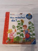 ❤Buch Wieso? Weshalb? Warum? Was wächst da?❤ Niedersachsen - Grasleben Vorschau