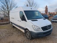 Mercedes Sprinter 313 CDI Kasten Transporter AHK Reifen NEU Thüringen - Mühlhausen Vorschau