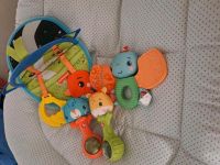 Spielzeug / Babyspielzeug Fisher Price Sinne entdecken Nordrhein-Westfalen - Detmold Vorschau