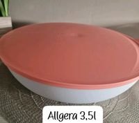 Allegra von Tupperware Bayern - Stammbach Vorschau