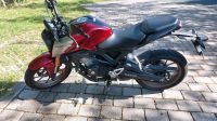 Honda CB 125 R BJ. 2021 15 PS Nordrhein-Westfalen - Reichshof Vorschau