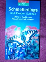 Schmetterling und ihre Raupen Europas Mecklenburg-Strelitz - Landkreis - Neustrelitz Vorschau