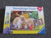 Ravensburger Puzzle 2x12 Teile Hasen und Meerschweinchen Hessen - Michelstadt Vorschau
