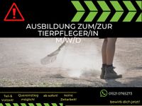 Ausbildung zum/zur Tierpfleger/in (m/w/d) Berlin - Rudow Vorschau