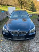 BMW 525d Touring , AHK, Leder beige Rheinland-Pfalz - Nanzdietschweiler Vorschau