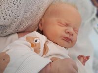 Reborn Baby Azalea von Laura Lee Eagles Original Bayern - Stockstadt a. Main Vorschau