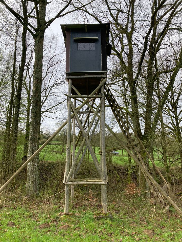 Jagdkanzel mit Jägersteg in Bad Vilbel