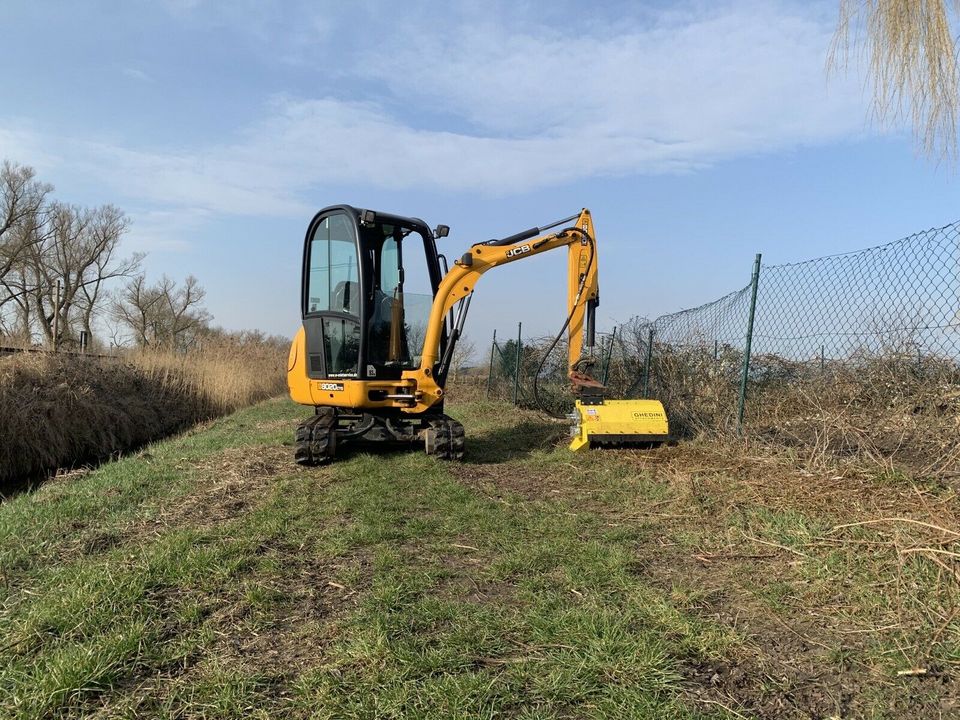 Baggermulcher / Forstmulcher / Mulcher / Minibagger mieten in Minfeld