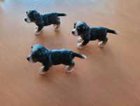 Schleich Welpen Berner Sennenhund Welpen stehend Tiere Niedersachsen - Rotenburg (Wümme) Vorschau