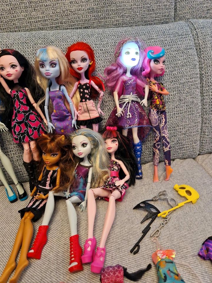 Monster High Set 9 Puppen plus Zubehör in Montforterhof