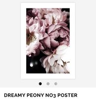 Desenio Poster Blumen Pfingstrosen DREAMY PEONY NO3  70x100 cm Bochum - Bochum-Mitte Vorschau