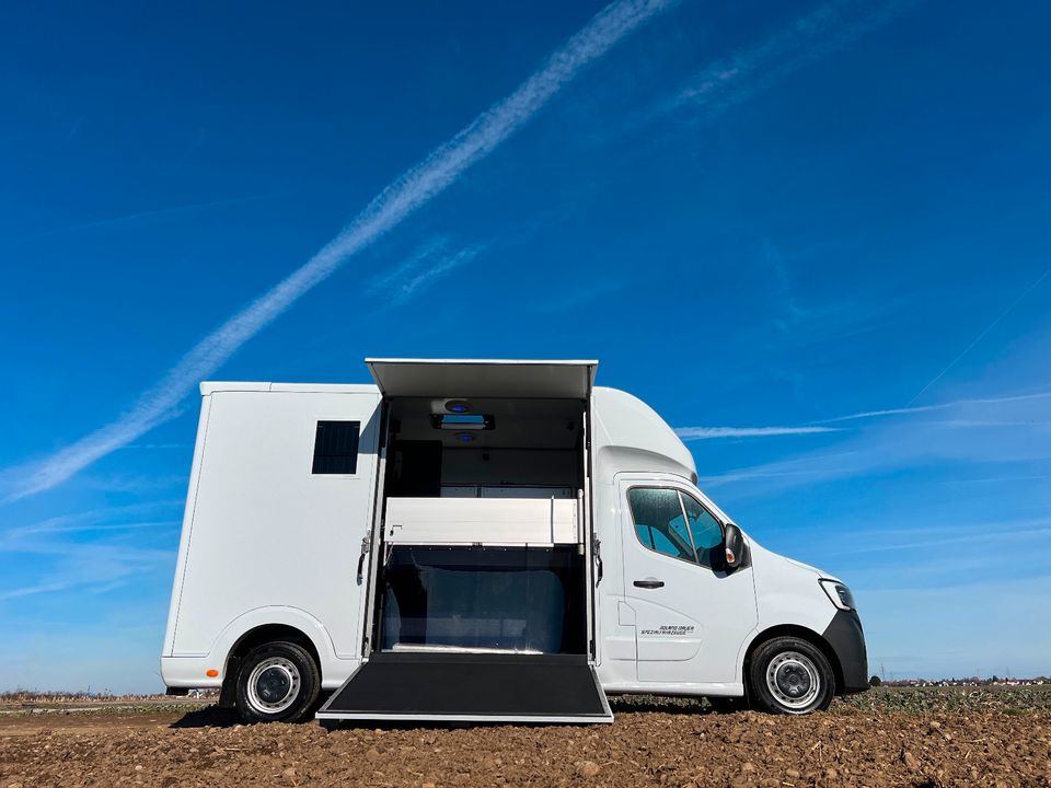 Renault ROELOFSEN YORSE 2-Pferdetransporter SONDERMODELL LKW in Vaterstetten