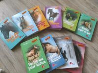 Mega großes Pferde  Bücher Paket Nordrhein-Westfalen - Engelskirchen Vorschau