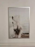 Pferdeposter # Das letzte Einhorn # Nordrhein-Westfalen - Castrop-Rauxel Vorschau