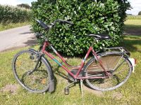 BATAVUS Ascot 26" Hollandrad 1980er Jahre Nordrhein-Westfalen - Grefrath Vorschau