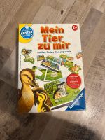 Kinderspiel Nordrhein-Westfalen - Eschweiler Vorschau